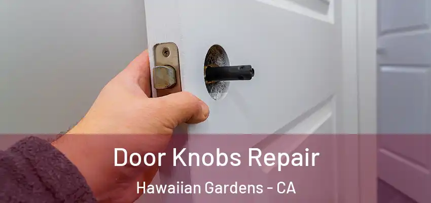 Door Knobs Repair Hawaiian Gardens - CA